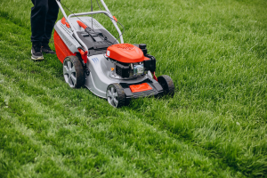 6352ad_fc5f23a58016485e9cf81ef4c